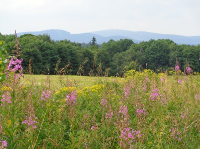 Brocken Grenzstreifen Hohegeiss 0716