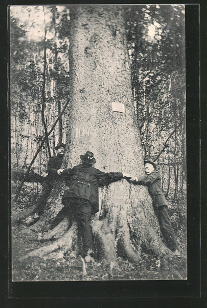 AK-Hohegeiss-die-dicken-Tannen-bei-der-Wolfsbachmuehle