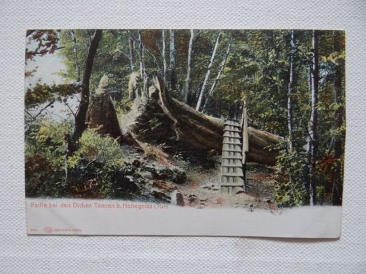 Hohegeiss-i-Harz-Partie-bei-den-Dicken-Tannen-1441